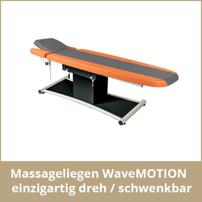 link-zu-wavemotion