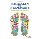 Kliegel, Ewald - Reflexzonen und Organsprache