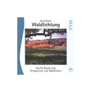 Stein, Arnd - Waldlichtung