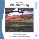 Stein, Arnd - Waldlichtung