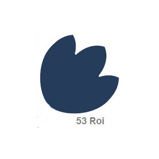 53 Roi