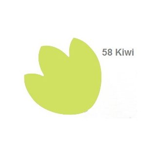 58 Kiwi