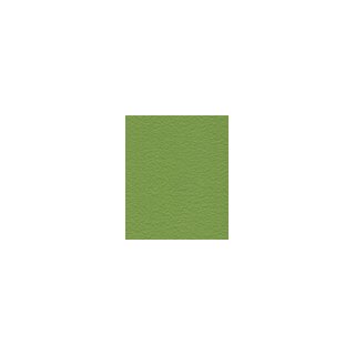 grün - 20296