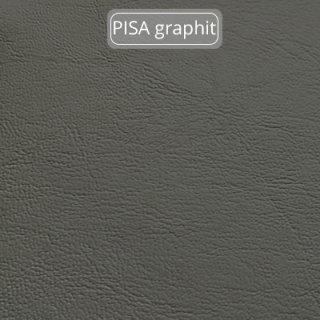 PISA-graphit