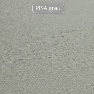 PISA-grau