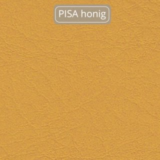 PISA-honig