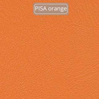 PISA-orange