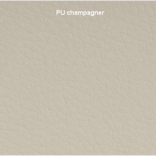 PU-champagner