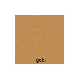 gobi