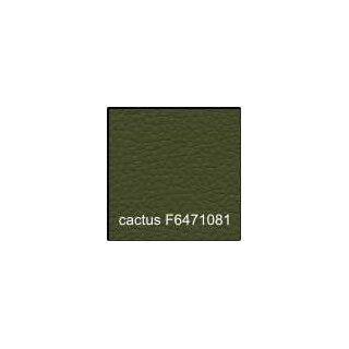cactus F6471081