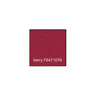 berry F6471076